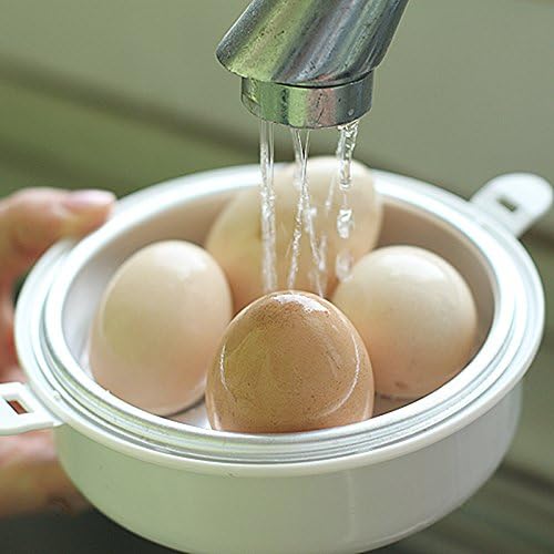 Electric Chicken Boiler